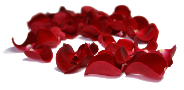 flower_12_rose_petals___stock_by_inadesign_stock.png